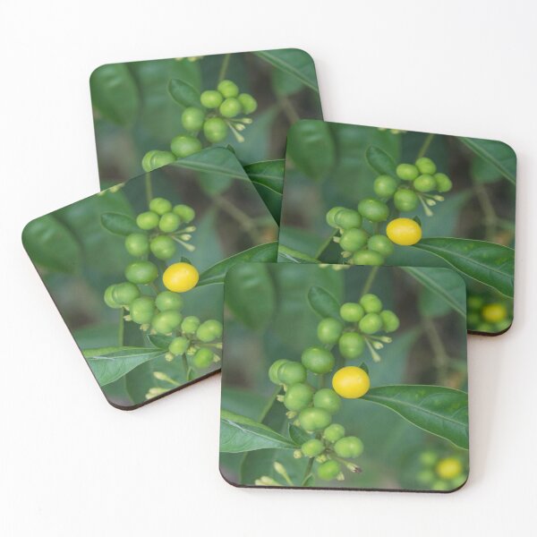 Item preview, Two-leaf Nightshade or Amatillo designed and sold by ROSE ANN BANILAR.