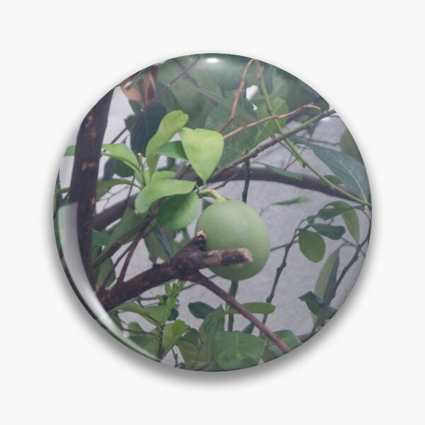 Item preview, Bengal Quince, Wood Apple, or Stone Apple designed and sold by ROSE ANN BANILAR.