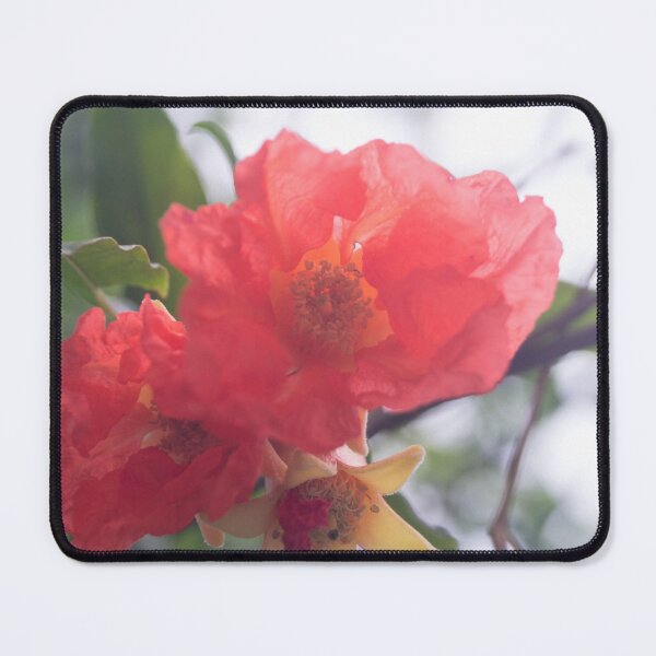 Item preview, Pomegranate Flower designed and sold by ROSE ANN BANILAR.