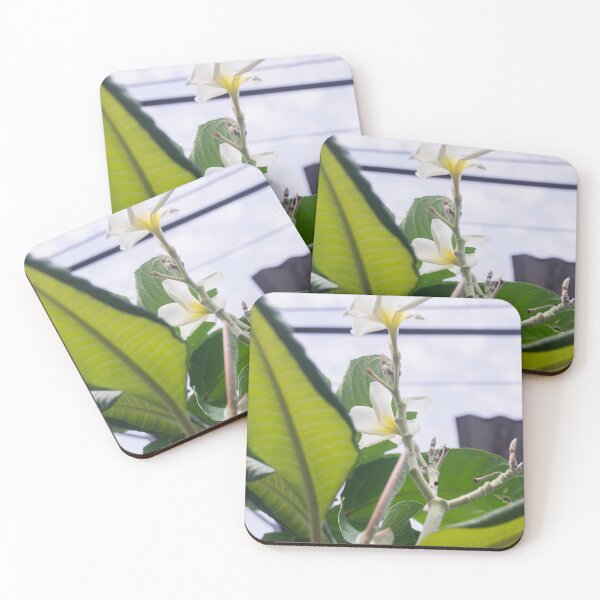 Item preview, Plumeria flowers_02 designed and sold by ROSE ANN BANILAR.
