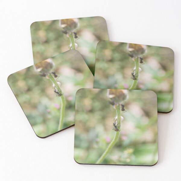Item preview, spiny ants designed and sold by ROSE ANN BANILAR.