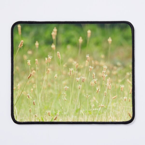 Item preview, Lying in a field full of plantain grass designed and sold by jaynerushton.