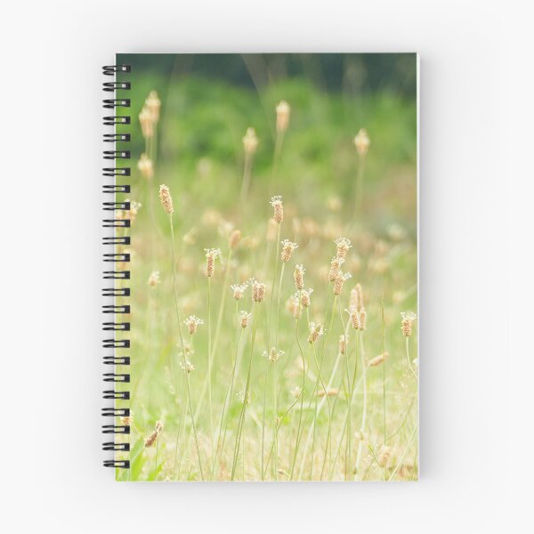 Item preview, Lying in a field full of plantain grass designed and sold by jaynerushton.