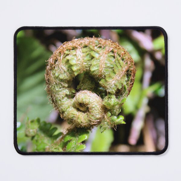 Item preview, fern designed and sold by KathleenDawson.
