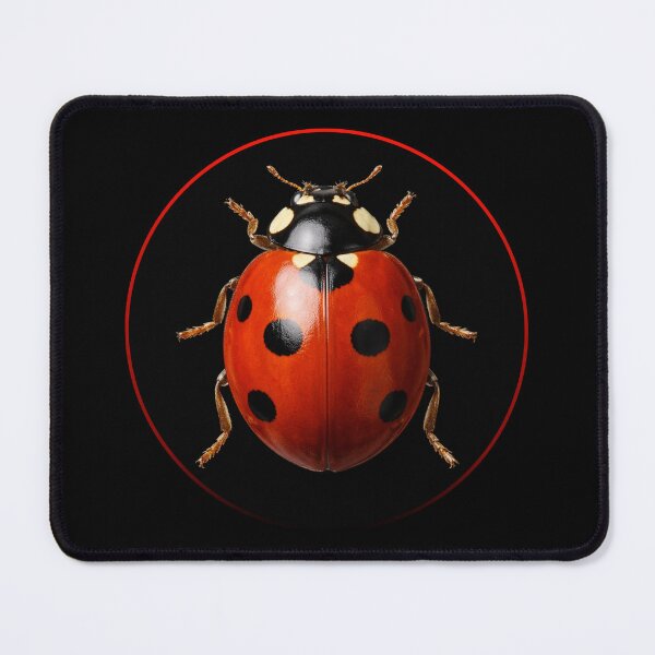 Item preview, Ladybird. designed and sold by moths-minor.