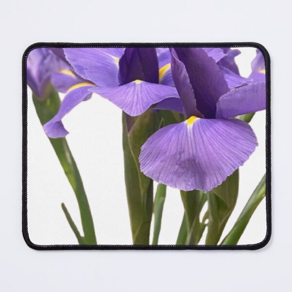 Item preview, Regal Purple Iris Bouquet with Long Stems Cutout designed and sold by BalkanBloom.