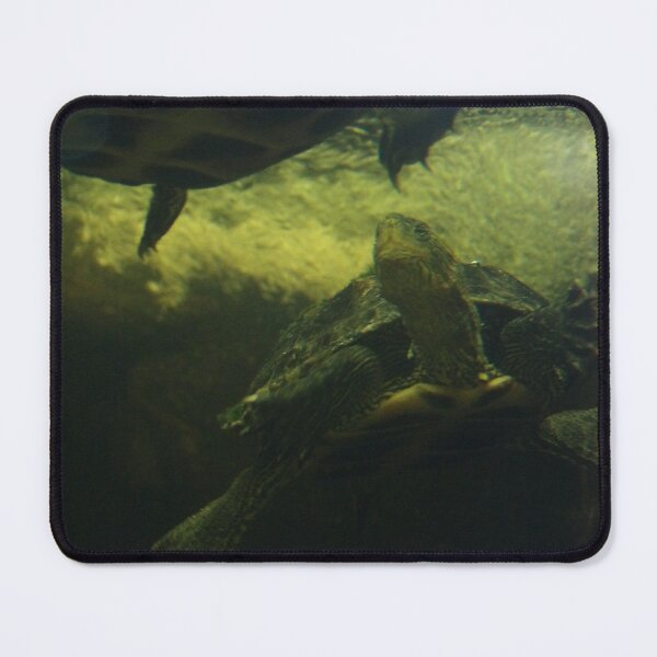 Item preview, Chinese Turtles designed and sold by Vixeni.