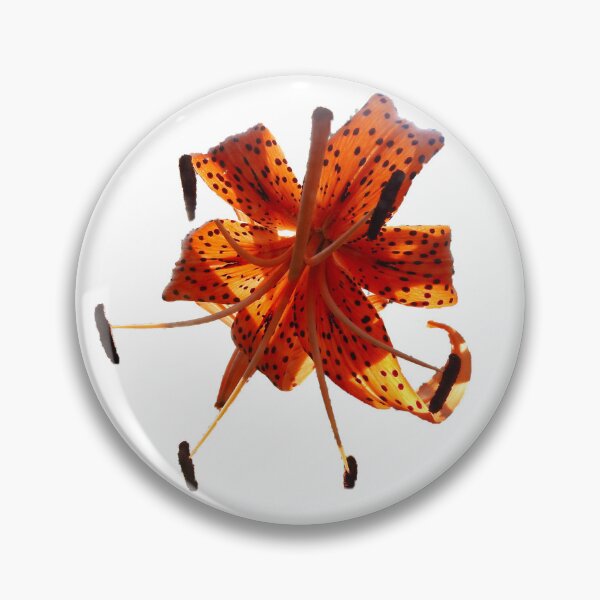 Item preview, TIGER LILY WITHOUT BACKGROUND designed and sold by AussieAl.