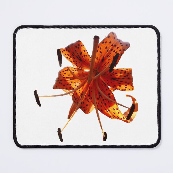 Item preview, TIGER LILY WITHOUT BACKGROUND designed and sold by AussieAl.