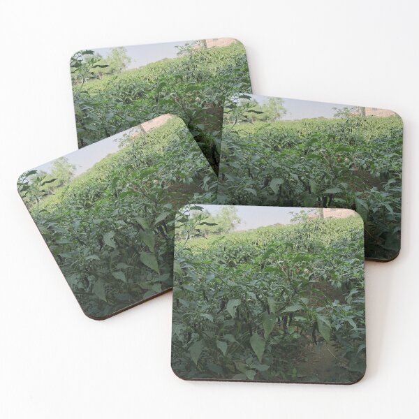 Item preview, Mirchi tree for farmer and greeny designed and sold by Gunjan kumar.