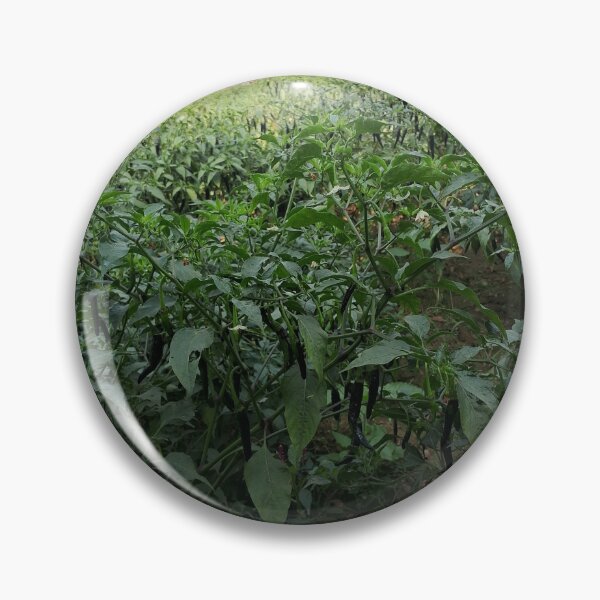 Item preview, Mirchi tree for farmer and greeny designed and sold by Gunjan kumar.