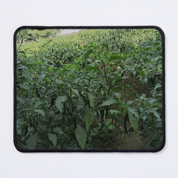 Item preview, Mirchi tree for farmer and greeny designed and sold by Gunjan kumar.