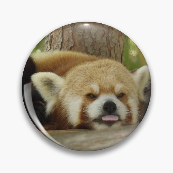 Item preview, Sleepy Red Panda Blep designed and sold by Vixeni.