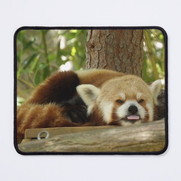 Item preview, Sleepy Red Panda Blep designed and sold by Vixeni.