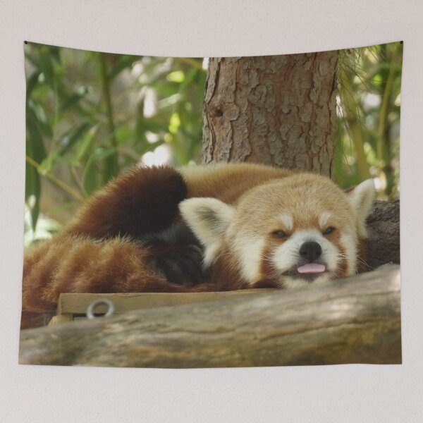 Item preview, Sleepy Red Panda Blep designed and sold by Vixeni.