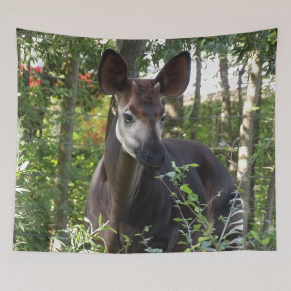 Item preview, Graceful Okapi designed and sold by Vixeni.