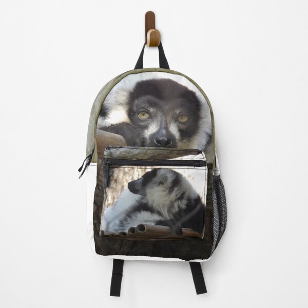 Item preview, Black and White Ruffed Lemur Close-up designed and sold by Vixeni.