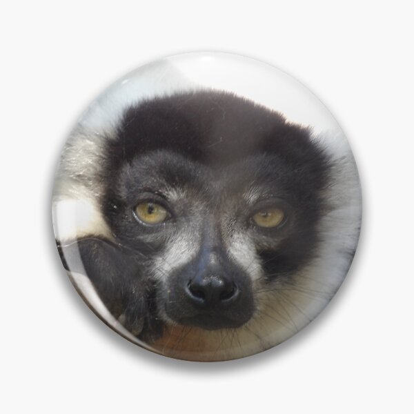 Item preview, Black and White Ruffed Lemur Close-up designed and sold by Vixeni.