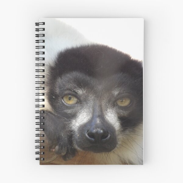 Item preview, Black and White Ruffed Lemur Close-up designed and sold by Vixeni.