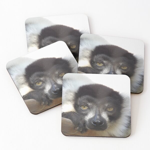 Item preview, Black and White Ruffed Lemur Close-up designed and sold by Vixeni.