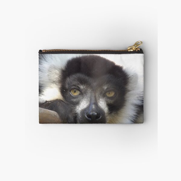 Item preview, Black and White Ruffed Lemur Close-up designed and sold by Vixeni.