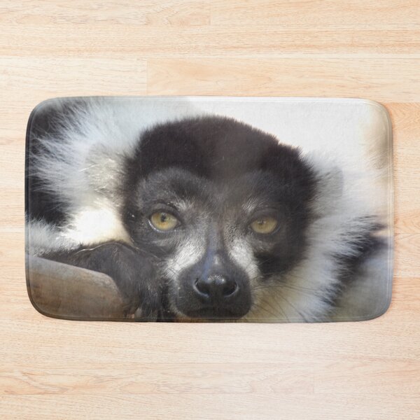 Item preview, Black and White Ruffed Lemur Close-up designed and sold by Vixeni.