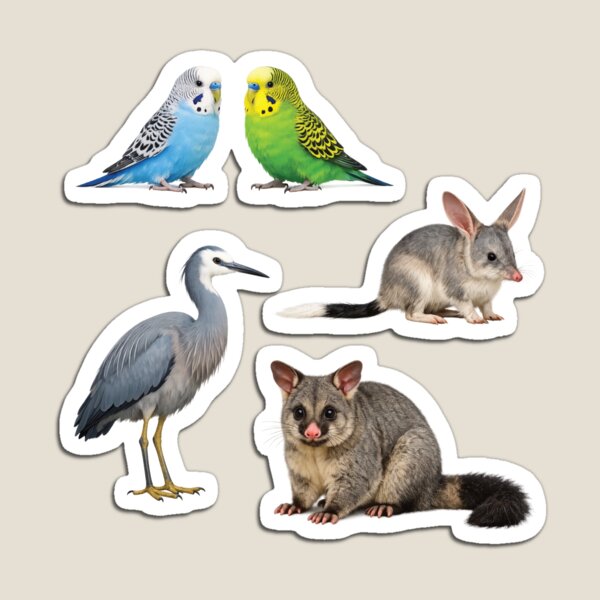 Item preview, Budgerigars, Heron, Brushtail Possum, Bilby. Australian native animals stickers. designed and sold by Poplartree.