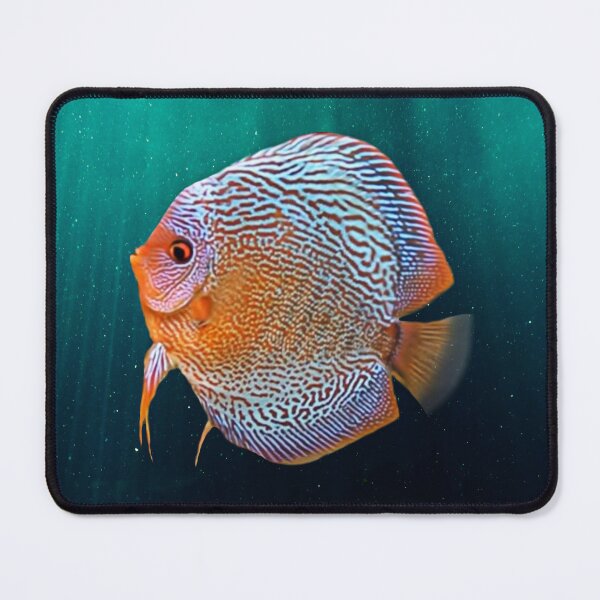 Item preview, DISCUS FISH - Snakeskin, orange/blue designed and sold by Danicus666.