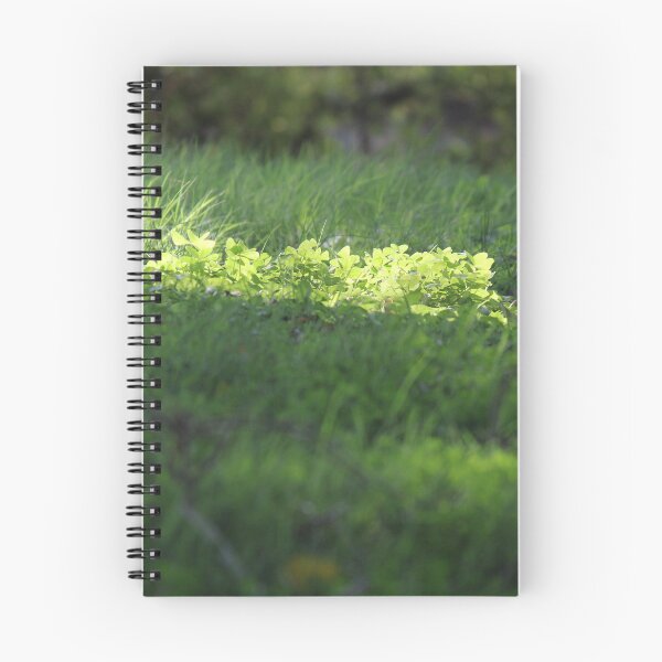 Item preview, Green lining designed and sold by sudarshana.