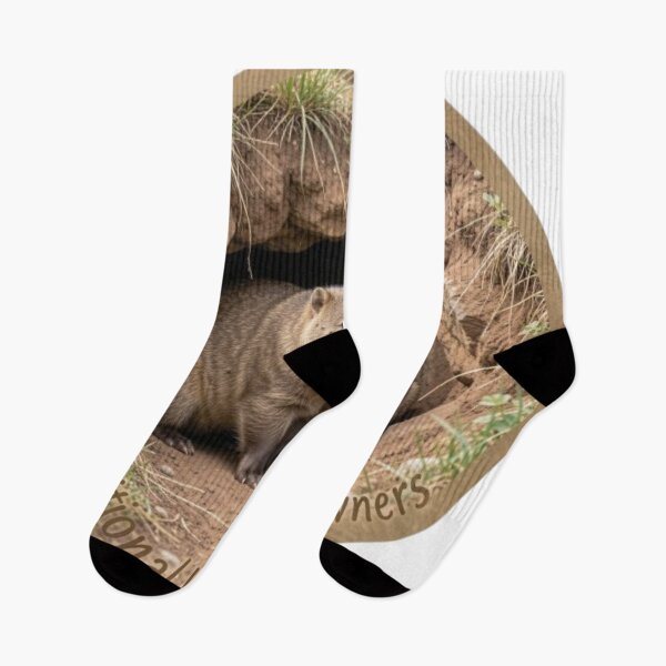 Item preview, Wombats - Traditional Land Owners designed and sold by Kirrindy Designs.
