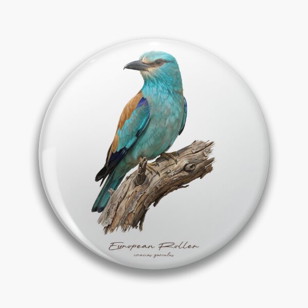Item preview, European Roller on Branch designed and sold by Takeda-art.
