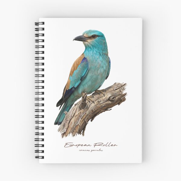 Item preview, European Roller on Branch designed and sold by Takeda-art.