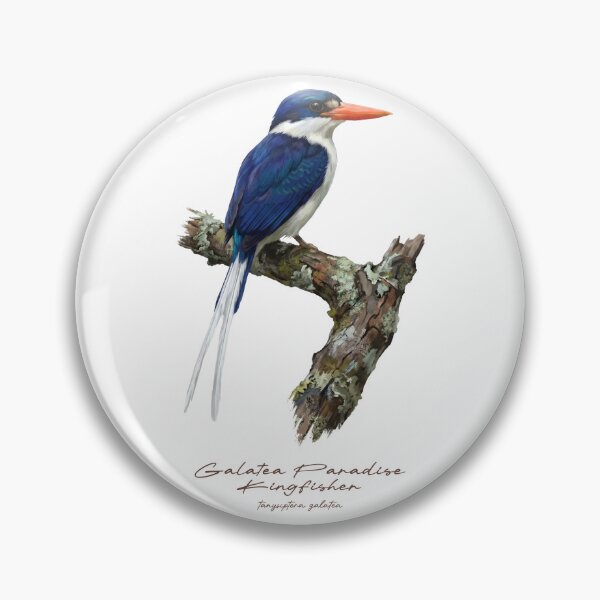 Item preview, Galatea Paradise Kingfisher on Rustic Branch designed and sold by Takeda-art.