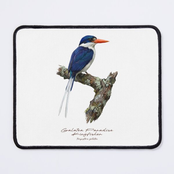 Item preview, Galatea Paradise Kingfisher on Rustic Branch designed and sold by Takeda-art.