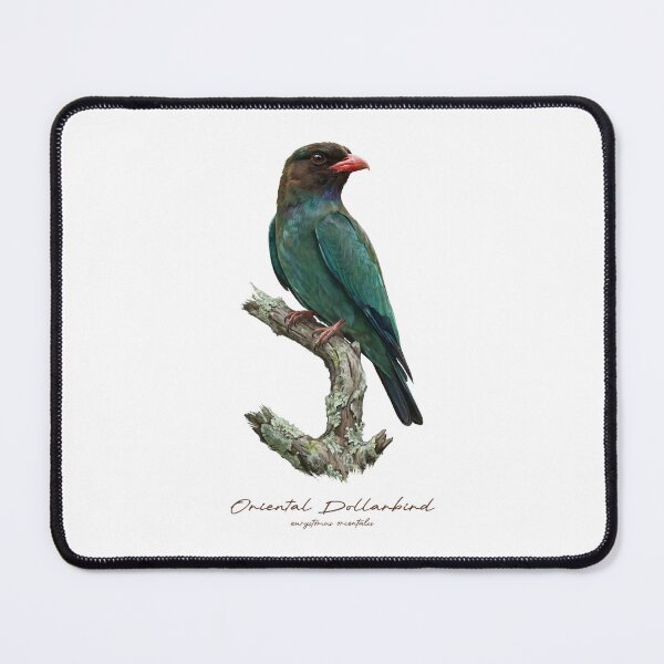 Item preview, Oriental Dollarbird on Rustic Branch designed and sold by Takeda-art.