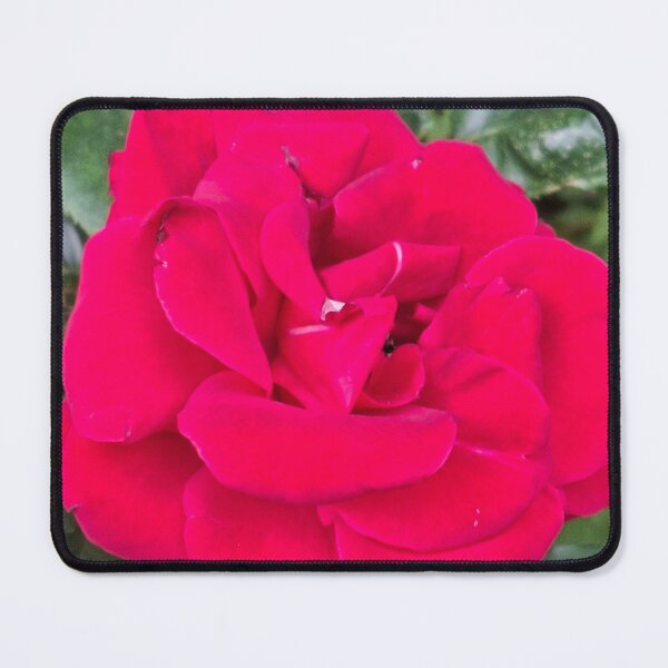 Item preview, Barry's Rose designed and sold by Daisy Lane Gifts UK.