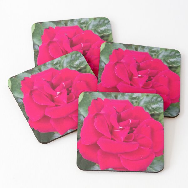 Item preview, Barry's Rose designed and sold by Daisy Lane Gifts UK.