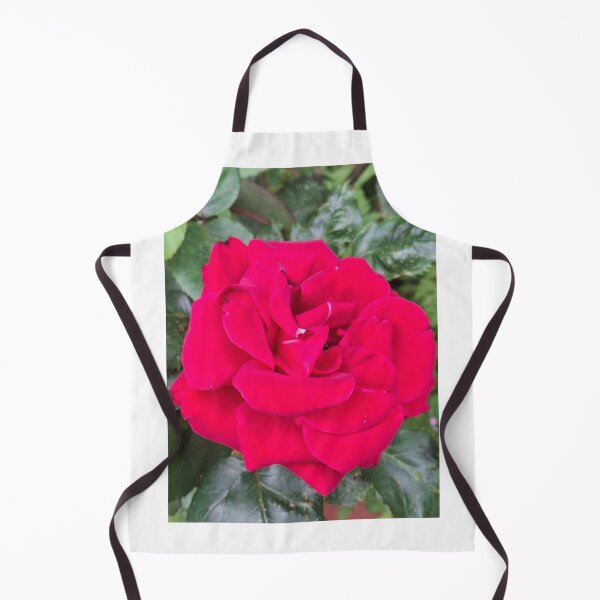 Item preview, Barry's Rose designed and sold by Daisy Lane Gifts UK.