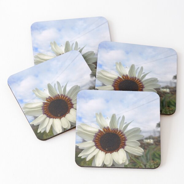 Item preview, South African bear's ear designed and sold by birgitsfotoshop.