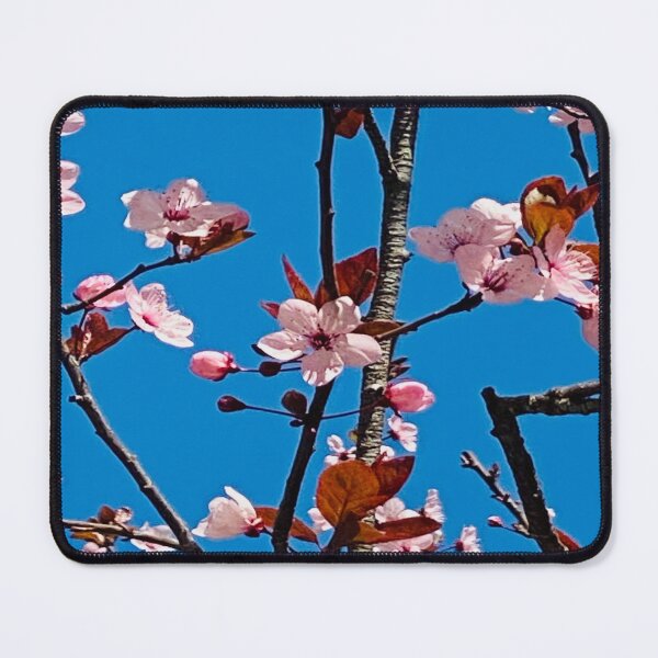 Item preview, Soft Pink Cherry Blossoms on Vibrant Blue Sky designed and sold by BalkanBloom.