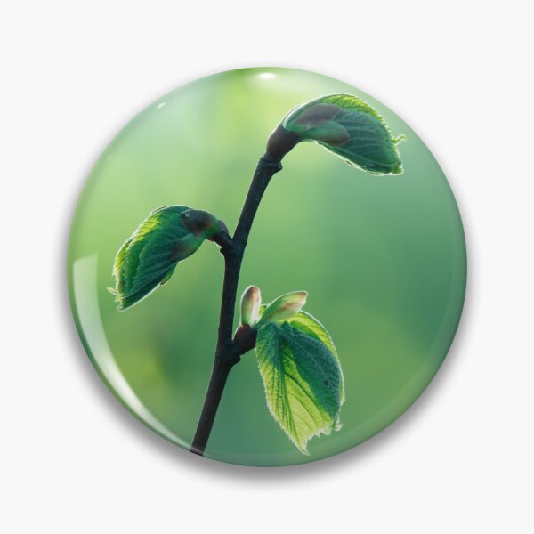 Item preview, Airy Green Botanical Nature Photography Print designed and sold by Mutezone.