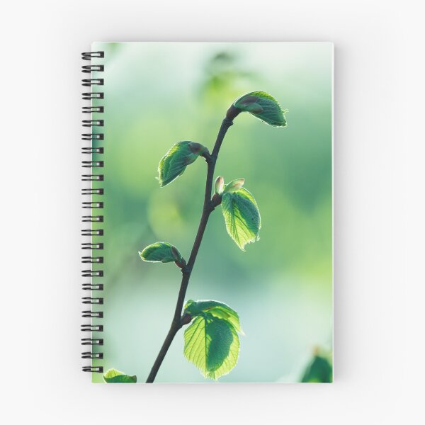 Item preview, Airy Green Botanical Nature Photography Print designed and sold by Mutezone.
