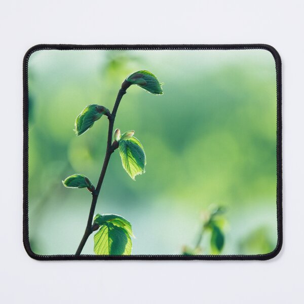 Item preview, Airy Green Botanical Nature Photography Print designed and sold by Mutezone.