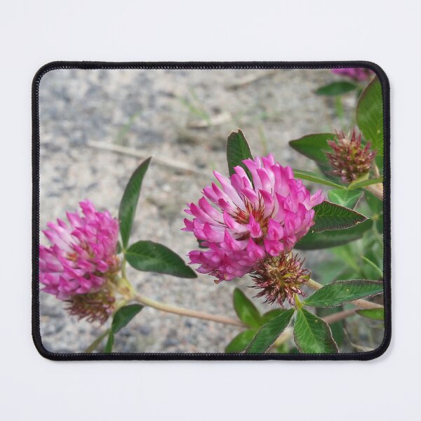 Item preview, Red Clover Countryside designed and sold by CalmnessbyChoice.