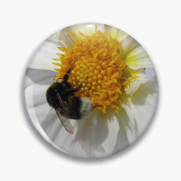 Item preview, Bumblebee on Dahlia designed and sold by birgitsfotoshop.