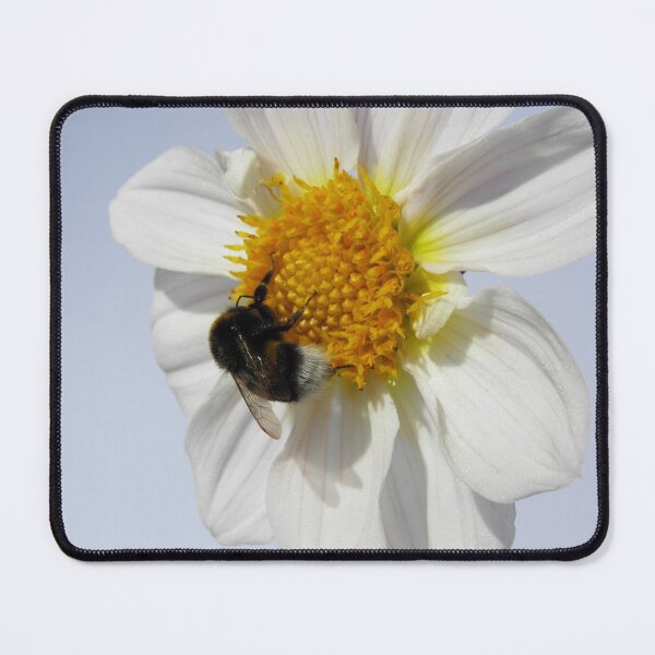 Item preview, Bumblebee on Dahlia designed and sold by birgitsfotoshop.