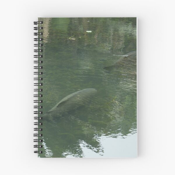 Item preview, Amazonian Fish designed and sold by Malcolm Snook.