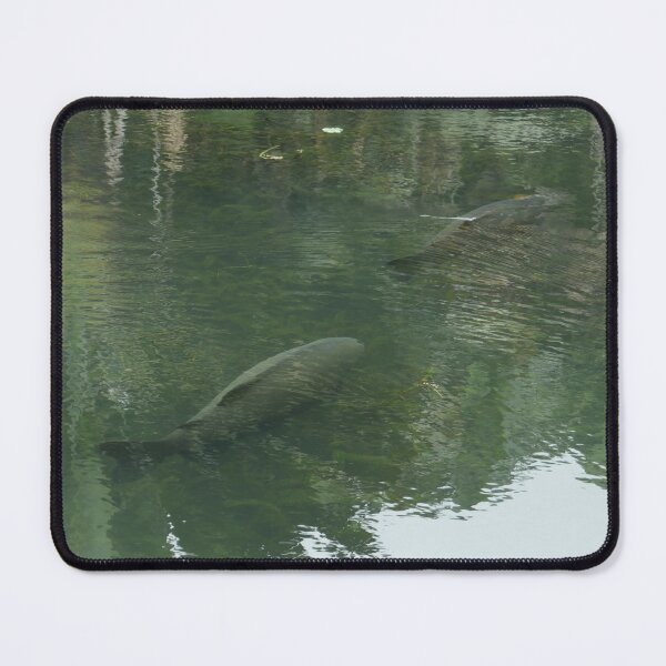 Item preview, Amazonian Fish designed and sold by Malcolm Snook.
