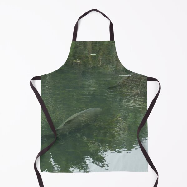Item preview, Amazonian Fish designed and sold by Malcolm Snook.