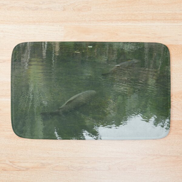 Item preview, Amazonian Fish designed and sold by Malcolm Snook.